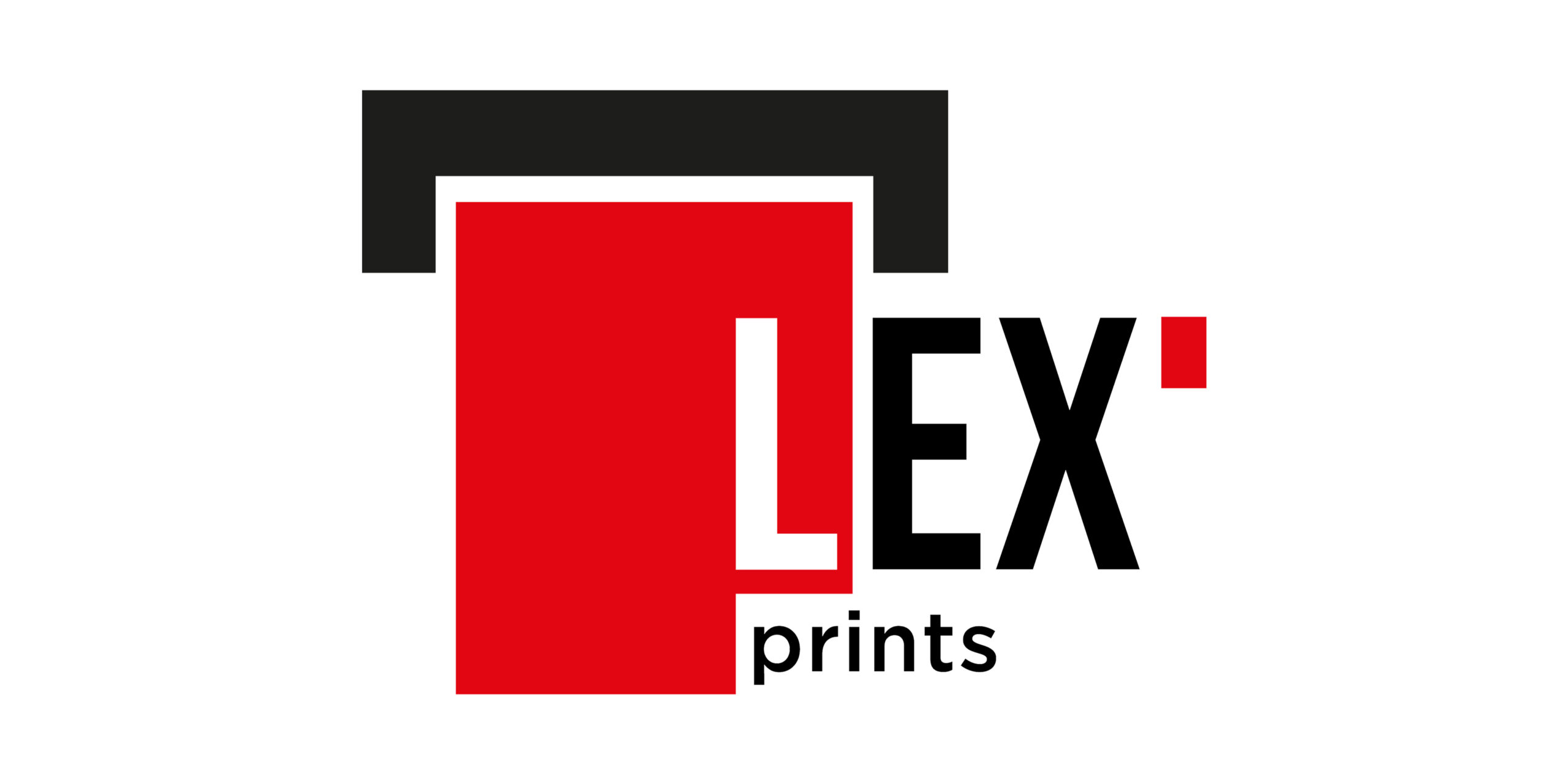 LEX printing identity 4
